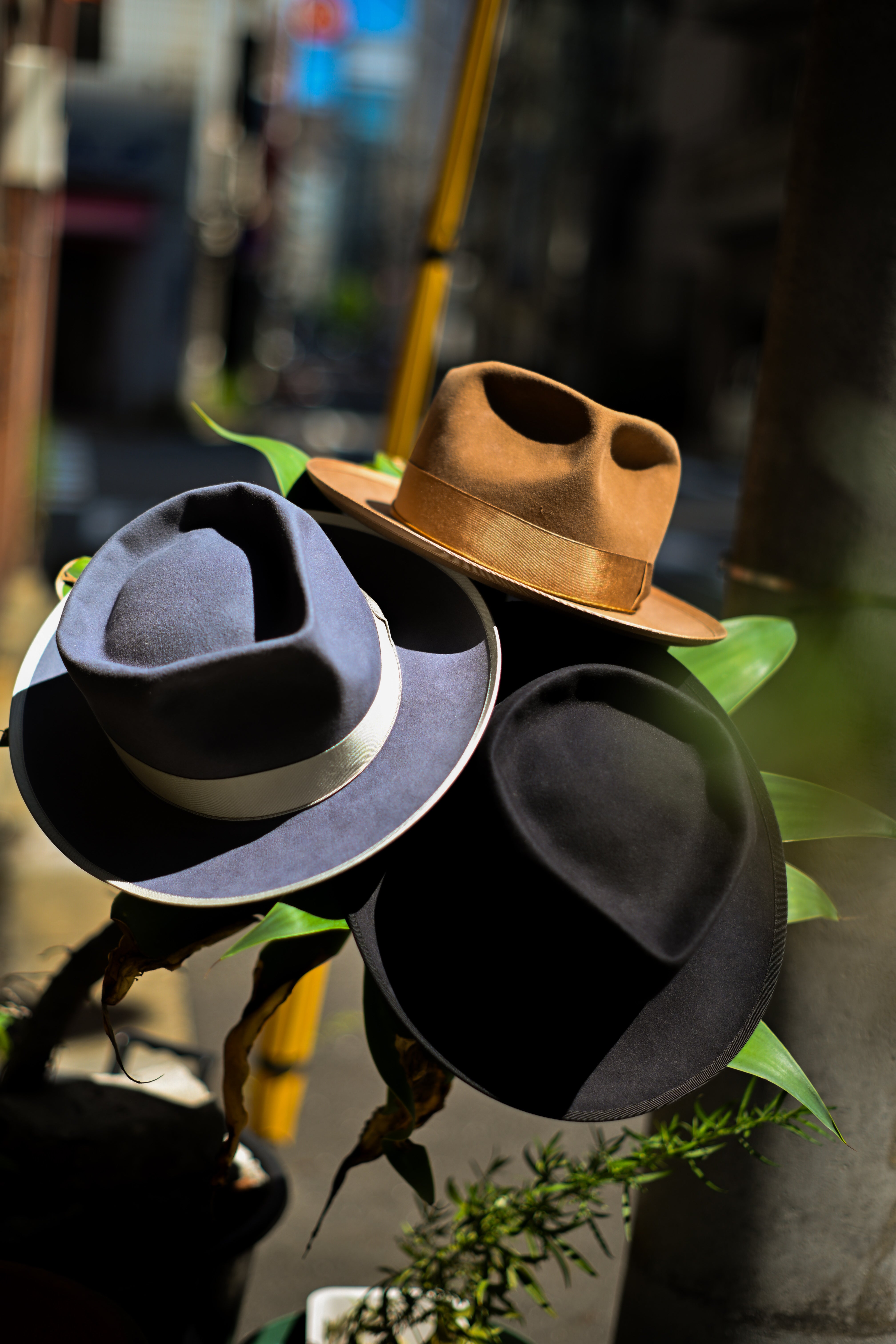 CROWTED HATTERS ハット　60cm CROWTED HATTERS