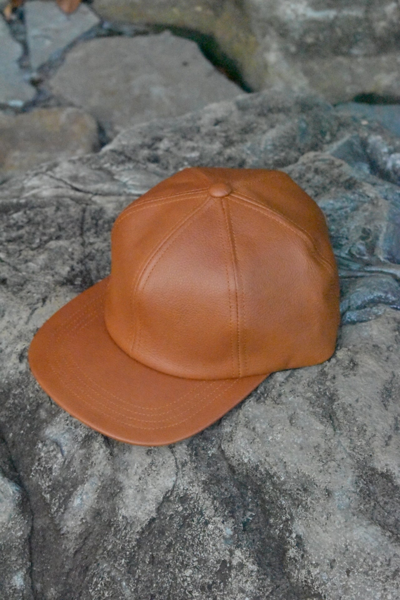 Albert Leather Cap